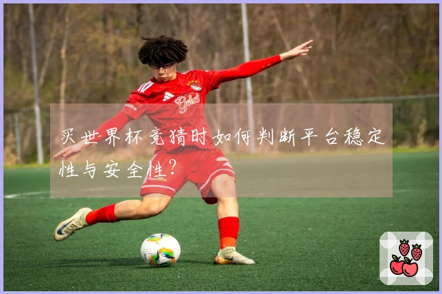 买世界杯竞猜时如何判断平台稳定性与安全性？