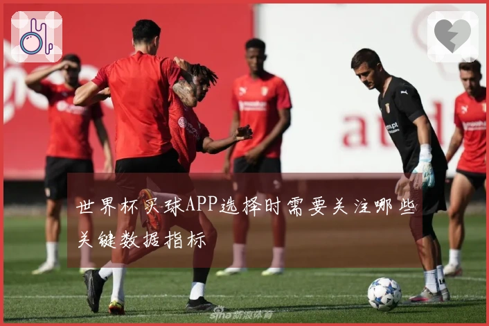 世界杯买球APP选择时需要关注哪些关键数据指标