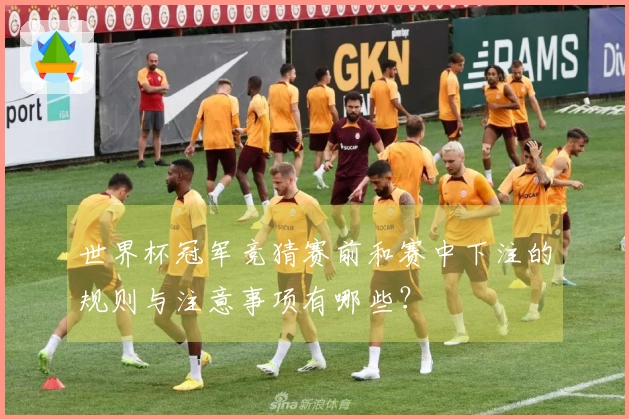 世界杯冠军竞猜赛前和赛中下注的规则与注意事项有哪些？