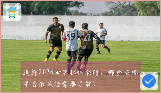 选择2026世界杯体彩时，哪些正规平台和风险需要了解？