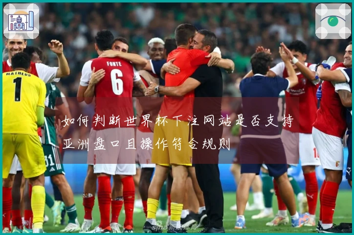如何判断世界杯下注网站是否支持亚洲盘口且操作符合规则