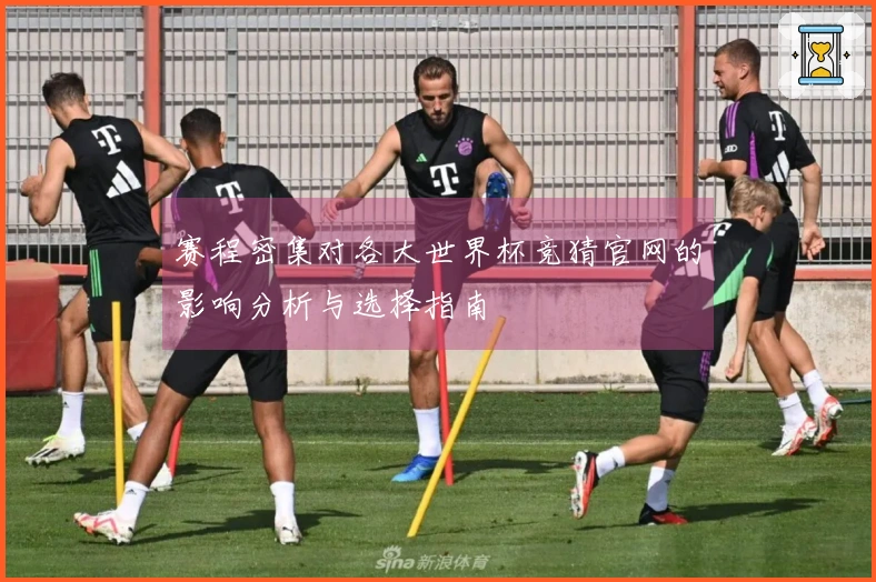 赛程密集对各大世界杯竞猜官网的影响分析与选择指南