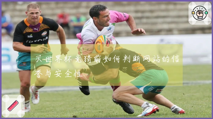 买世界杯竞猜前如何判断网站的信誉与安全性