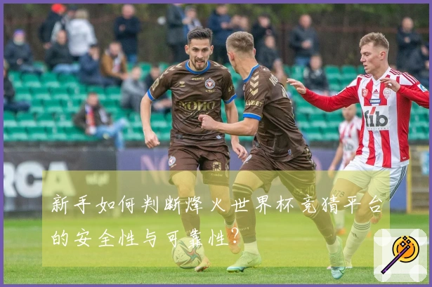 新手如何判断烽火世界杯竞猜平台的安全性与可靠性？