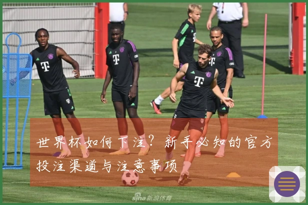 世界杯如何下注？新手必知的官方投注渠道与注意事项