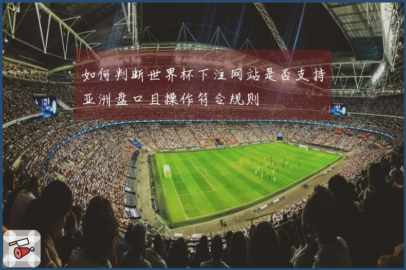 如何判断世界杯下注网站是否支持亚洲盘口且操作符合规则