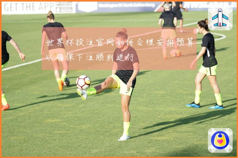 世界杯投注官网如何合理安排预算以确保下注顺利进行
