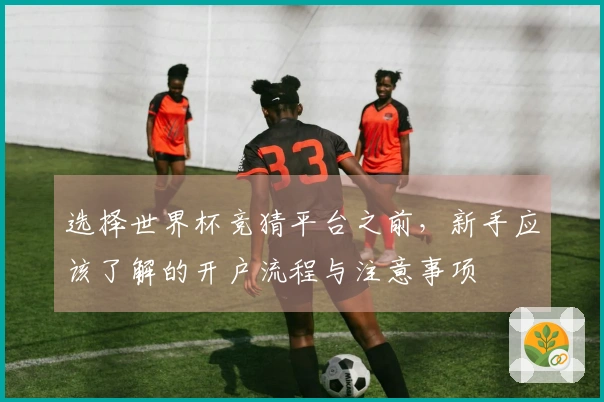 选择世界杯竞猜平台之前，新手应该了解的开户流程与注意事项
