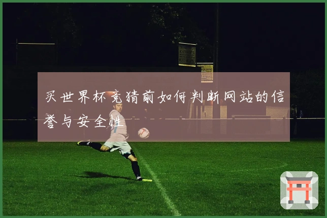买世界杯竞猜前如何判断网站的信誉与安全性