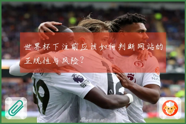 世界杯下注前应该如何判断网站的正规性与风险？