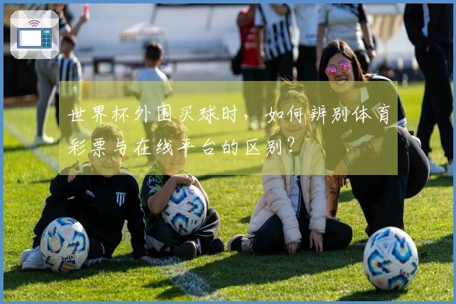 世界杯外围买球时，如何辨别体育彩票与在线平台的区别？