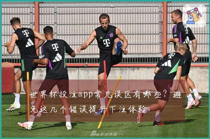 世界杯投注app常见误区有哪些？避免这几个错误提升下注体验