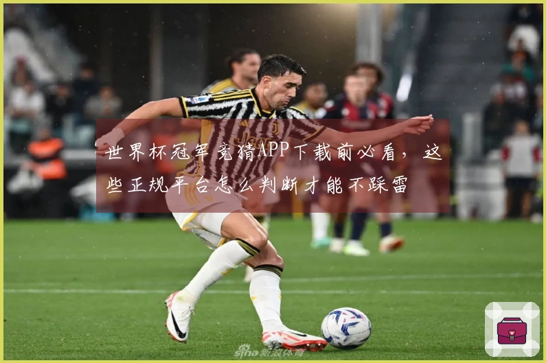 世界杯冠军竞猜APP下载前必看，这些正规平台怎么判断才能不踩雷