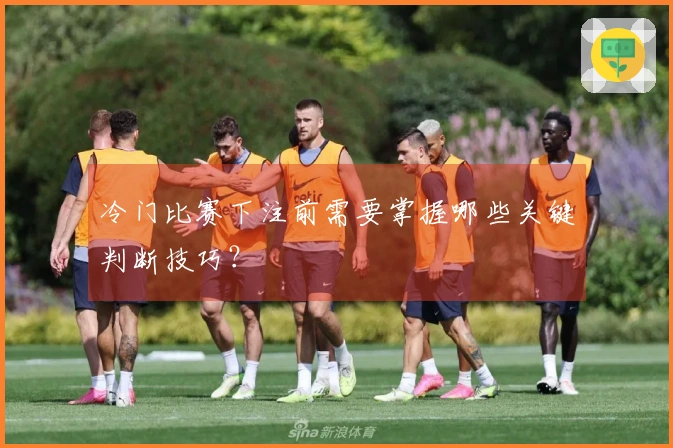 冷门比赛下注前需要掌握哪些关键判断技巧？