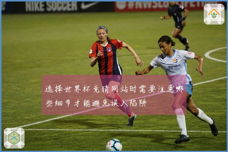 选择世界杯竞猜网站时需要注意哪些细节才能避免误入陷阱
