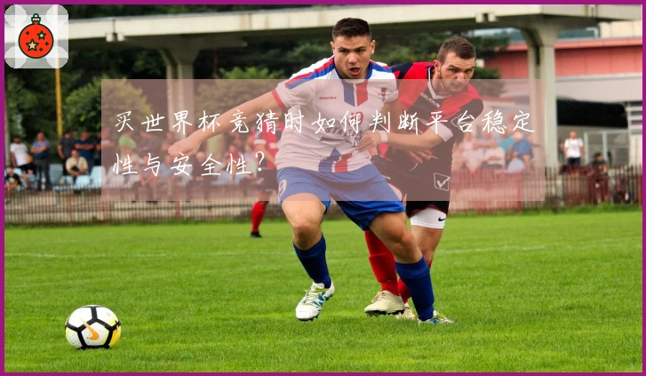 买世界杯竞猜时如何判断平台稳定性与安全性？