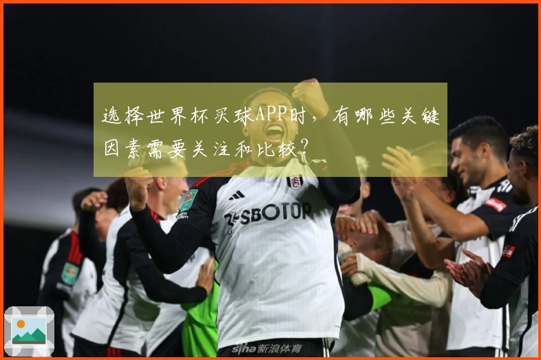 选择世界杯买球APP时，有哪些关键因素需要关注和比较？