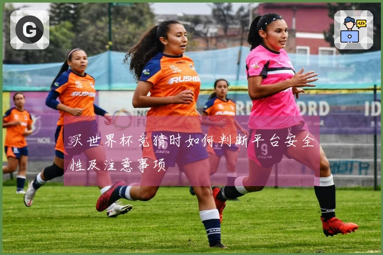 买世界杯竞猜时如何判断平台安全性及注意事项