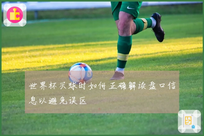 世界杯买球时如何正确解读盘口信息以避免误区