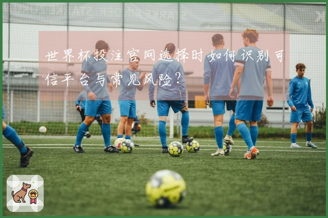 世界杯投注官网选择时如何识别可信平台与常见风险？