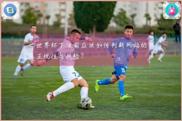 世界杯下注前应该如何判断网站的正规性与风险？