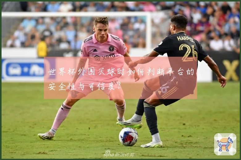 世界杯外围买球时如何判断平台的安全性与可信度？
