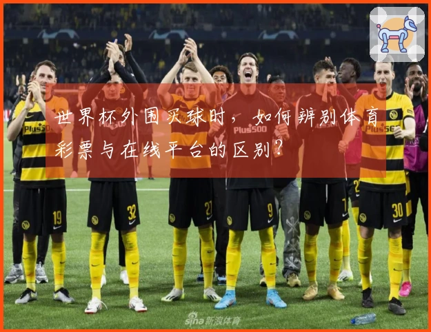 世界杯外围买球时，如何辨别体育彩票与在线平台的区别？