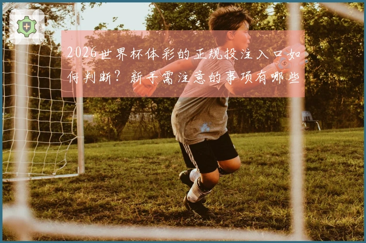 2026世界杯体彩的正规投注入口如何判断？新手需注意的事项有哪些？